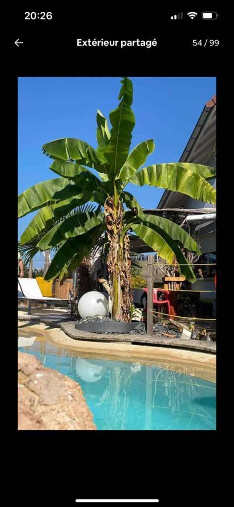 A La Marc'Quize Chambres D'Hotes, Petit Dejeuner Compris, Avec Piscine A Debordement En Exterieur, Bain Nordique A 38 Degres En Prestation Supplement Sur Reservation Horaire Anticipee 1 Place De Parking Gratuite Sur Place Мукси Экстерьер фото